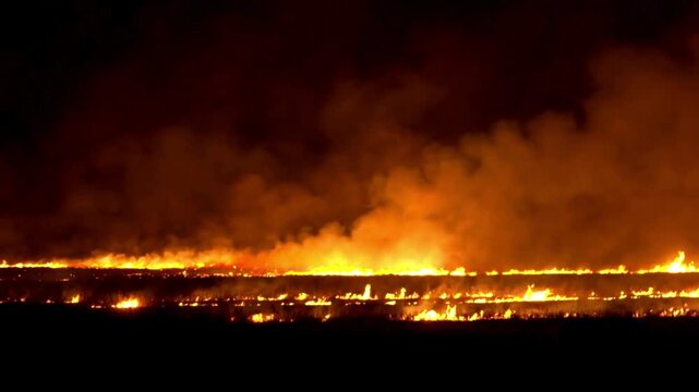 Disturbing scenes of a powerful and devastating forest fire consumes the landscape, with intense orange and red flames and smoke 
