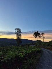 sunset over the river