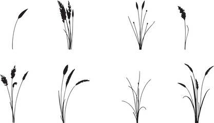 Fototapeta premium Set of minimalistic flat design plants silhouettes. Hand drawn vector illustration