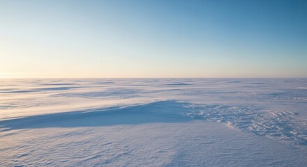 Vast, undulating snowfield stretches toward a clear, pale horizon under bright daylight.