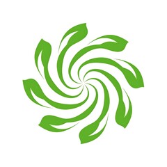 Fototapeta premium Spiraling, symmetrical illustration of light green leaves on a white background