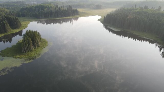 Drone looking down while flying forward over a small calm northern park misty lake surrounded by a green fores
