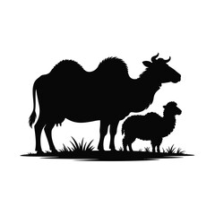 Obraz premium Silhouette of a camel and a young lamb standing in grassland