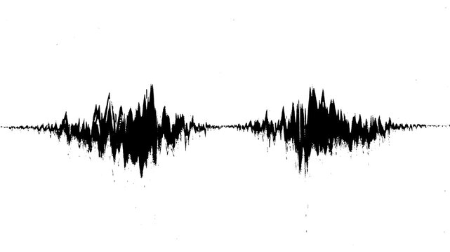 Horizontally mirrored, jagged black waveform against a white background, evoking intense sound or data spikes.