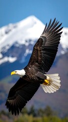 Obraz premium A majestic bird of prey soars with outstretched wings against a backdrop of snow-capped mountains and a blue sky
