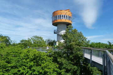 Aussichtsturm Baumkronenpfad Hainich