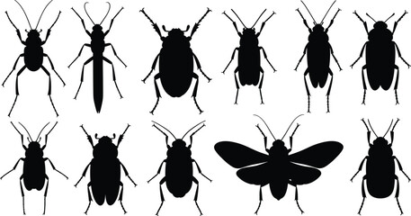 Black vector silhouettes of various insect species showing distinct anatomy, wing shapes, and antennae for entomology and educational design use. © Mashrafi Saba 