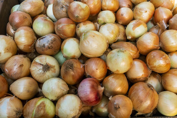 Obraz premium Freshly Harvested Onions Displayed in a Market Stall During Daylight Hours