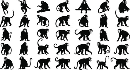 Set of black monkey silhouette icons showing various poses, movements and actions, isolated on white background, vector illustration collection © Ideasy Mind