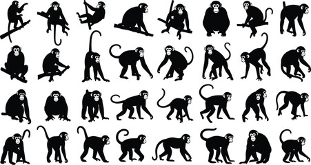 Black monkey silhouette icon set with multiple poses and actions, isolated on white background, vector illustration collection for design and branding © MstParul