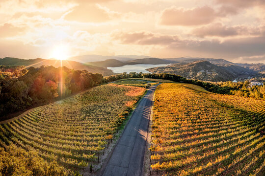 Aerial view of vineyards in the eastern hills of the Napa Valley AVA overlooking Lake Hennessey reservoir at sunset in Napa County, California, USA.