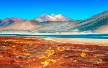 Selbstklebende Fototapeten Ziegel Piedras Rojas, Atacama, Chile  © Pedro Parzzanini