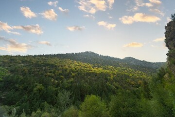 landscape mountains with tree and sky nature in summer