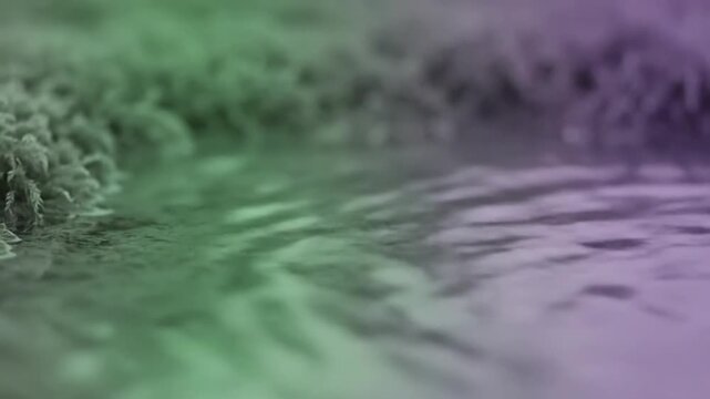 Subtle Duotone Ripples A static, close-up view of a small duotone lake with extremely gentle, organic ripples creating mesmerizing patterns. The two-color palette should highlight the movement and