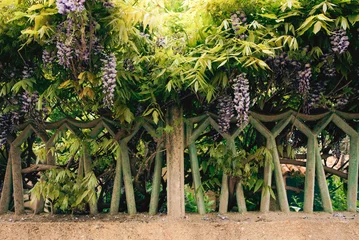 Universal background with green vegetation. © Maryna