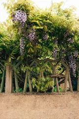 Universal background with green vegetation. © Maryna