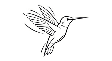 Fototapeta premium Graceful Hummingbird Line Art Illustration in Flight