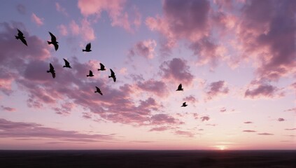 Fototapeta premium Birds in flight against a pastel sky at dawn or dusk