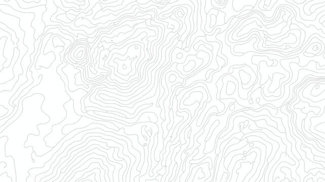 Topographic map pattern on white background line art illustration gray lines