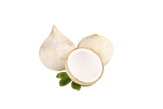 Fresh Thai Young Coconuts with Creamy Milk - Hainan Imported