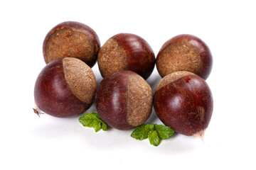 Obraz premium Fresh Raw Chestnuts with Leaves on White Background