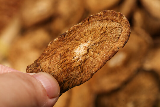 Golden Burdock Root Slices for Herbal Tea
