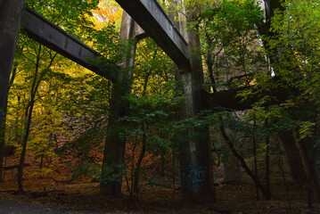 Naklejka premium Pillars of an Abandoned Bridge in a Forrest, Toronto Ontario, Canada