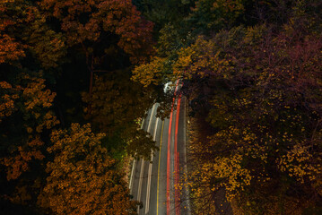 Naklejka premium Light Trails of Cars with Autumn Foliage in Toronto, Ontario, Canada
