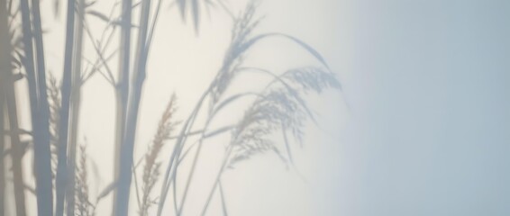 Fototapeta premium Delicate dried grass stems and reeds swaying against soft pastel sky background creating peaceful natural minimalist composition for wellness and meditation designs.