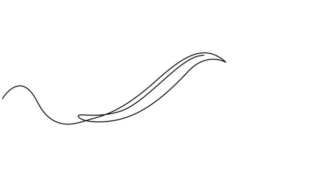 swoosh animation continuous one line drawing, Baseball swoosh decorative calligraphic tail element. Underline retro swoop wave line for athletic shirt. Hand drawn curly swishes, swash, twiddle. Vector