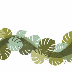 Lush green monstera leaves creating a vibrant tropical border design. © Dalijo