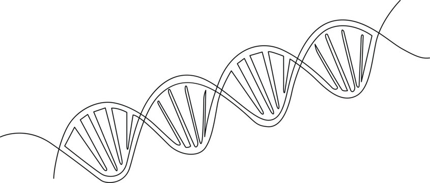 A detailed illustration of a dna double helix structure with dotted lines Vector