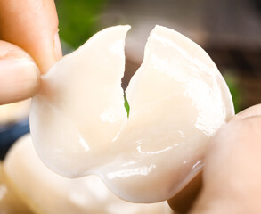 Fresh White Wood Ear Mushroom from Changbai Mountain Northeast China Jade Bowl Shape © CanVan