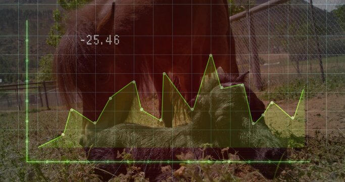 Standing bay mare lowering head over dark foal in paddock, with green grid overlay