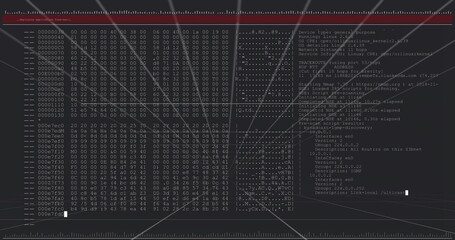 Displaying dual-pane console showing hex dump and network scan output on monitor, blinking cursor