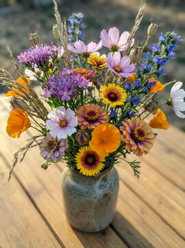 Flower mix for dry soil with Centaury, Cosmos, Eschscholtzia, Layia, Viper's bugloss, and Zinnia