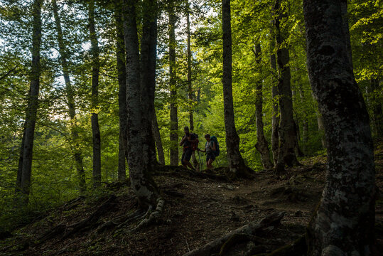 Two hikers sillouette in a breech frest 