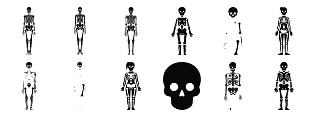 Minimalist black silhouette icon set of a skeleton model . simple black flat vector style for medical and fitness icons concept.