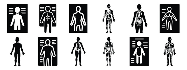 Minimalist black silhouette icon set of a anatomy chart . simple black flat vector style for medical and fitness icons concept.