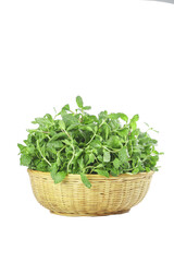 Naklejka premium Fresh Mint Leaves in Woven Basket - Natural Edible Herbs