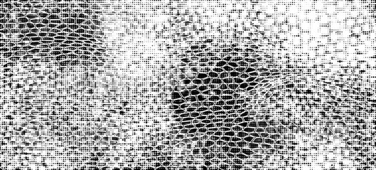 Snakeskin pattern imitation. Lines and spots structural texture. Cool and artsy faux leather background. Abstract vector illustration. Black isolated on white. EPS10