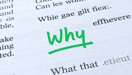 Asking Why The Most Important Question