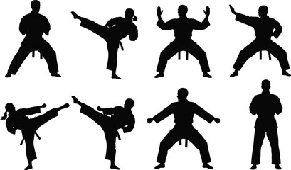 Set of eight martial arts silhouettes including men and women in karate uniforms performing kicks, blocks, and fighting stances, isolated © Shain