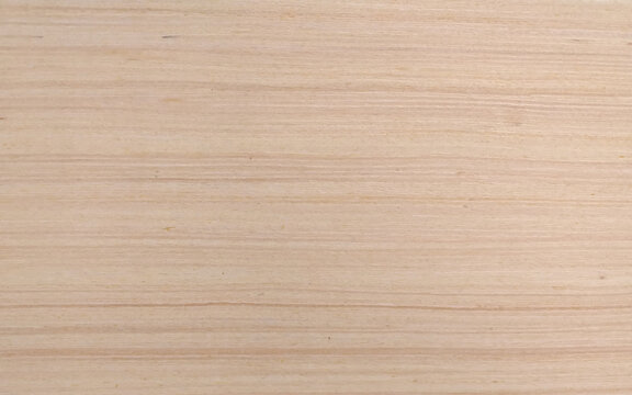 Minimal Light Wood Texture Background. Light Brown Wood Panel Texture