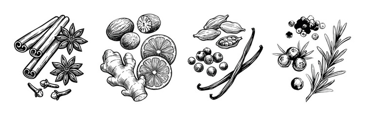 Hand drawn set of spices and herbs including cinnamon, star anise, clove, ginger, nutmeg, orange, cardamom, vanilla, juniper, and rosemary in a vintage sketch style