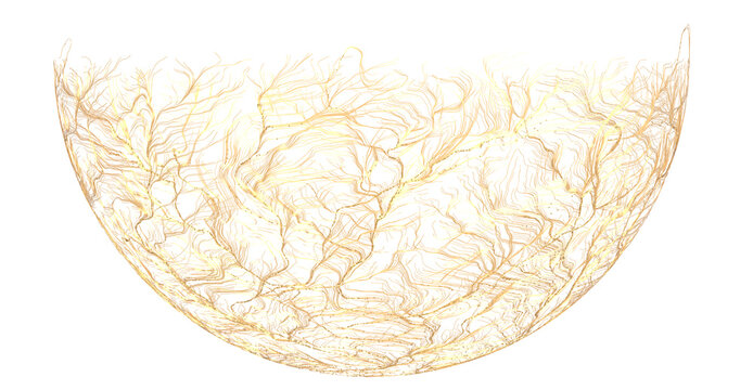 Artistic abstract illustration featuring a half-sphere filled with delicate golden lines, evoking concepts of nature and