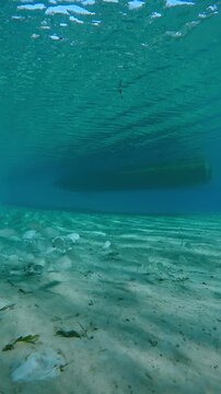 Vertical footage, School of Emperor fish swimmng on sandy bottom with motorboat in background, Slow motion of shoal Pink Ear Emperor, Lethrinus lentjan swims over sand seabed on sunny day