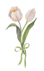 Watercolor pastel tulips, spring flower bouquet. Hand drawn illustration in beige and white colors