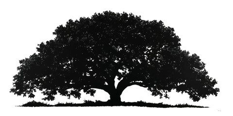 Majestic silhouette of a large mature oak tree with a full canopy against a white background © DARK TRUST