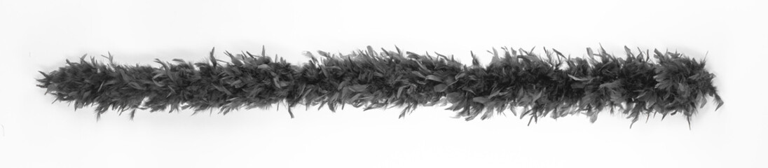 Black feather scarf isolated on white background